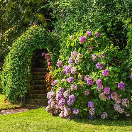 בית נופש Angela Maria - By Lovecomo