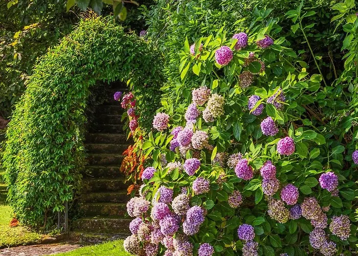 Ferienhaus Angela Maria - By Lovecomo